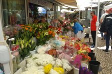 953 cadiz markt
